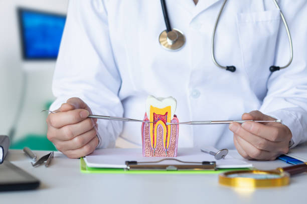 Best Emergency Root Canal Therapy in Abaster, AL